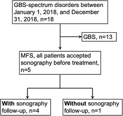 A Pilot Study on Serial Nerve Ultrasound in Miller Fisher Syndrome